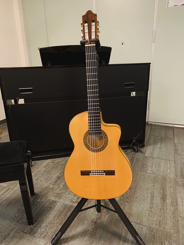 guitarra apasionada